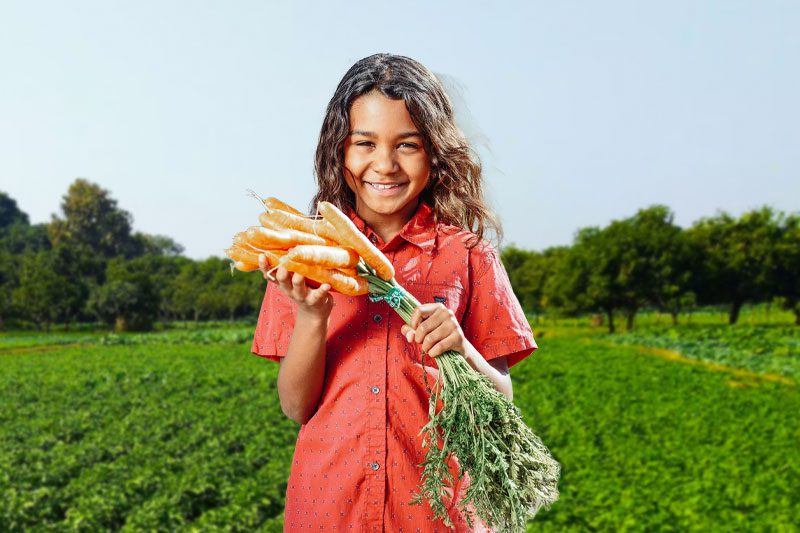 Child holding carrots on farm